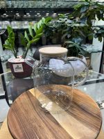 قوری پیرکس درب بامبو - Image 10