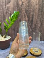 لیوان 6 تایی طرح راه راه بلند - Image 3