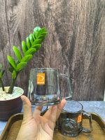 لیوان 6 تایی طرح کلارا دودی DELI