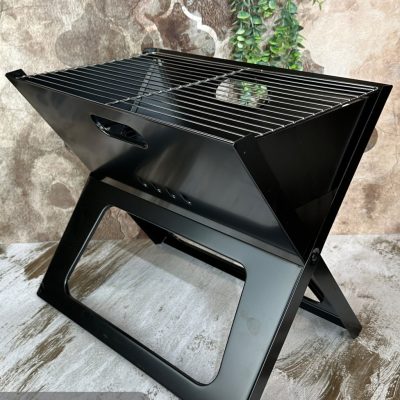 منقل تاشو پلاریس