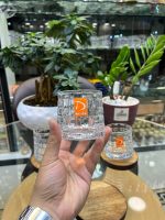 ليوان ٦ تايى چرخشى مربعى Deli - Image 2