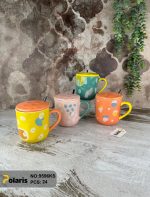 ماگ رنگی پلاریس